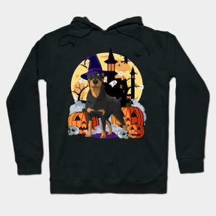 Doberman Pinscher Halloween Pumpkin Witch Hoodie